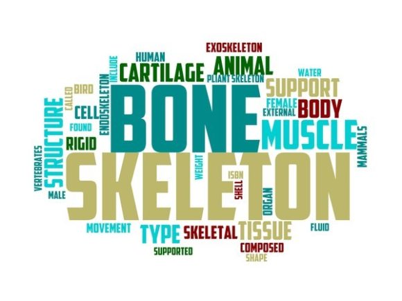 Skeleton Typography Tumbler: Hand-Drawn Wordclouds for Authentic, Inspirational Design
