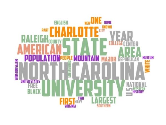 South Carolina Typography Banner: A Hand-Drawn Wordcloud for Meaningful, Multi-Surface Design